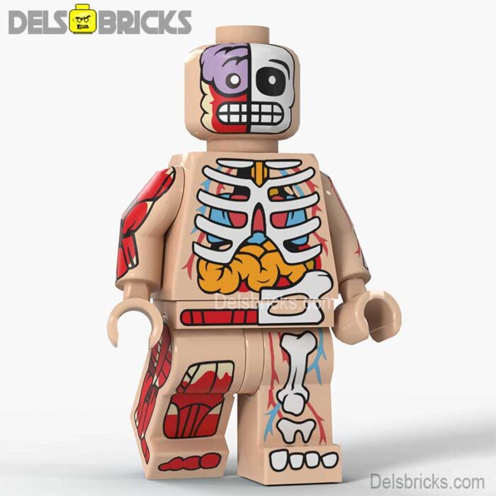 d8005c human body guy skin delsbricks minifigures toys